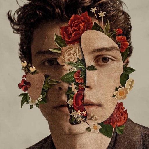 Shawn Mendes' new album will be released next month