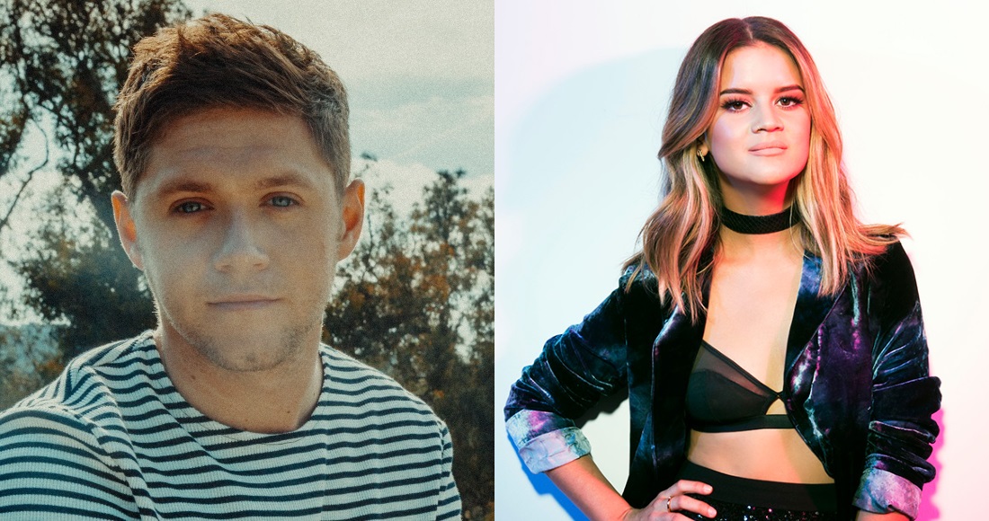 Niall Horan Unveils Collaboration With Grammy Winning Country Singer