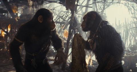 Kingdom of the planet of the apes