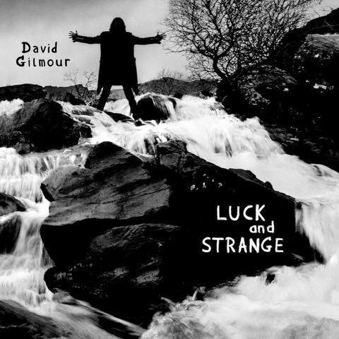 David Gilmour Luck and Strange