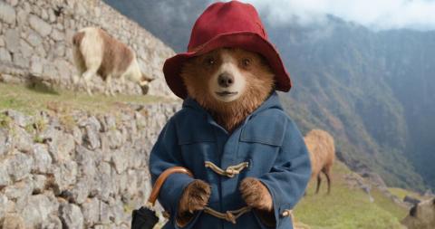 Paddington Bear