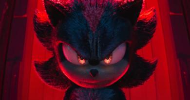 Shadow the hedgehog